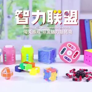 Intelligence Game Brain Training Educational Toy