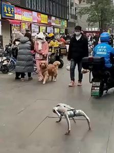 JIQI | AI Smart Robotic Dog Childrens Toy for robot dog