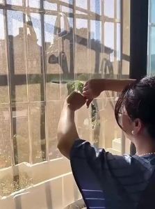 Self Adhesive Window Screen Repair Tape Insect Proof Mesh Patch for Home Use Long Lasting Solution Easy Apply Remove Without Residue
