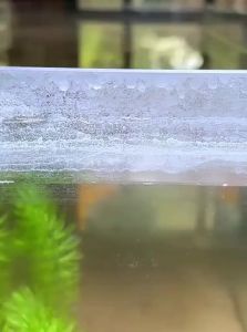 VOA | Water Stain Remover & Glass Cleaner for Aquariums