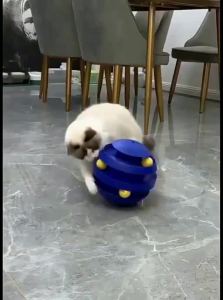 7o | Interactive Teaser Wand Cat Toy Turntable