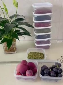Microwave Safe Food Storage Box With Lid