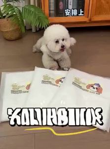 7o | Thickened Deodorizing Disposable Absorbent Dog Pet Pads