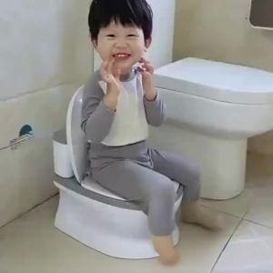 Toilet Training Potty