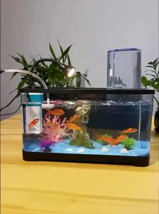 KUOTING | All-in-one Aerator and Filter Small Aquarium