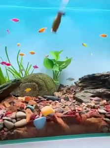 VOA | Automatic Siphon Fish Tank Water Changing Tool