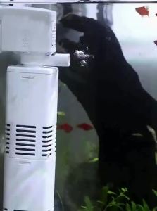 SOBO | 3-in-1 Silent Fish Tank Filter Pump for Small Aquarium
