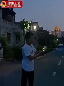 Glow in Dark Professional Training Shuttlecock