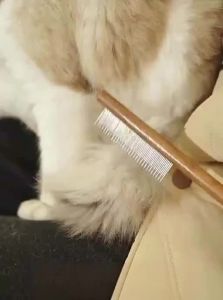 HELLOLEIBOO | Detangling & Anti-Knot Pet Brush