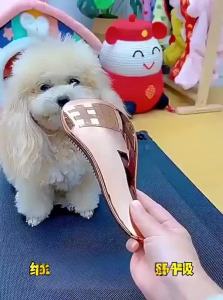 7o | Pet Grooming Massaging Fluffing Comb