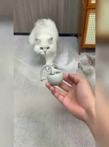 Popocola | Automatic Entertaining Intelligent Cat Toy