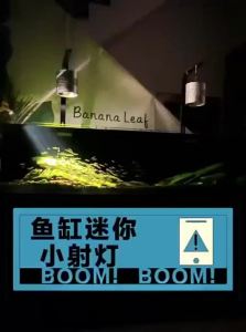VOA | Aquarium Lighting Atmosphere Enhancing LED