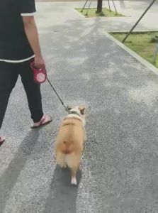 TO BE EASY | Dog Poop Scooper Pet Waste Picker Pet Walking Shovel