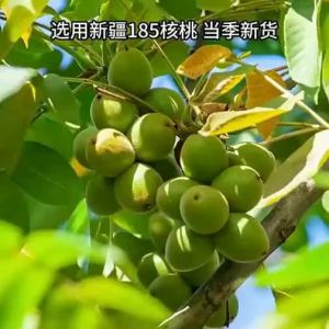 LAOJIEKOU | Milk Flavor Herb Scented Roasted Walnut 500g x 2 bags