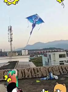 HUANFENGZHIYI | Dragon Pterodactyl Kite Easy Flying 2026 New Model