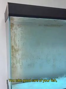 VOA | Aquarium Water Purification Tablets Algae Removal