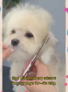 7o | Pet Grooming Scissors Set for Dogs and Cats