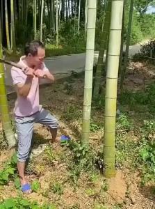 CHENGDU | Effort-Saving Folding Hand Saw