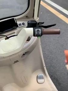 Multifunctional Storage Bag For Electric Tricycle