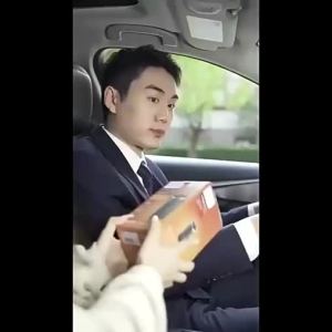 Philips | UVC Sterilizing Anti-Smog Car Air Purifier Filter