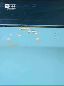 Yee | Fixed-point Feeding Anti-Scatter Ring