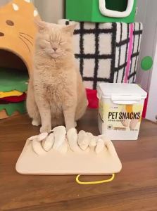 7o | Dental Care Chicken Breast Jerky Dried Pet Cat Snacks