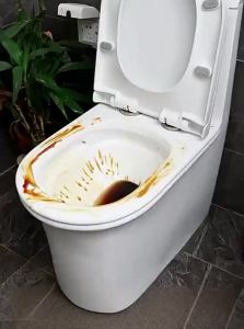 YOULE | No-Dead-Angle Wall-Hung Toilet Brush