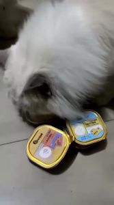 HOOPET | Nutritious Development Full Priced Wet Food Cat Mini Meals