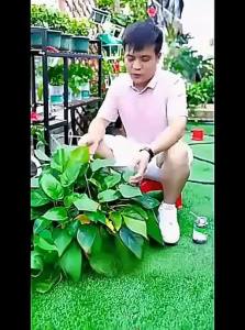 NAIFUNA | Controlled-release General-purpose Fertilizer
