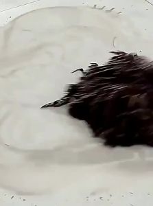 NAIFUNA | Auto Wringing Hands-free Spin Mop