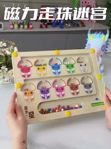 Magnetic Maze Educational Toy