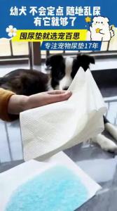 PETBEST | Absorbent & Cleaning Pet Urine Pads