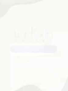 LANKEXIN | Dual-Use Computer and Mobile U Disk