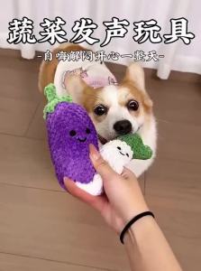 7o | Durable Chewing & Sound-Producing Toy for Small & Medium Dogs