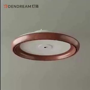 DENGJIAN | Smart Ceiling Fan Light App Control