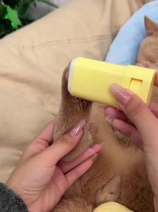 7o | Pet Paw Care & Moisturizing Balm