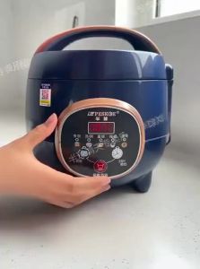 PESKOE | Multi-functional Pressure Rice Cooker small ceramic