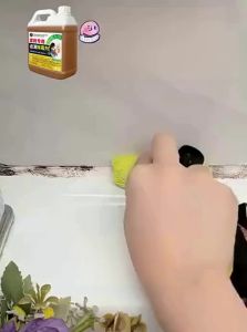 JIEKEMEI | Mold Remover Wall And Ceiling Cleaner