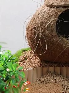 YUEXIAOMENG | All Seasons Coconut Shell Parrot Nest