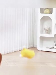 VOA | Durable Chewing Squeaky Dog Toy