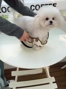 hipidog | Versatile Lightweight Pet Carrier