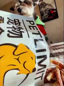 petlimit | Chewable Dental Bone Duck Meat Dog Treats