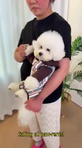 hipidog | Four-legged Belly Wrap Pet Coat for Small Dogs