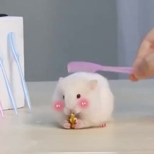 YUEXIAOMENG | Dust Removal Mini Comb for Hamsters