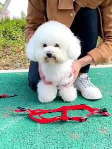 XIYUYANGGUANG | Anti Pulling Dog Leash