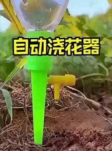 Automatic Drip Watering System Timed Regulation