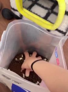 7o | Pet Portion Control Spoon