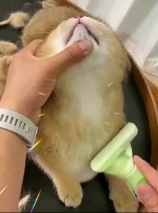 VOA | Deshedding Grooming Tool for Cats and Dogs Removing Undercoat and Tangles