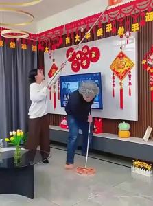 Ceiling & Wall Dust Removal Duster