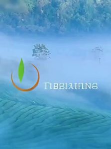 YIBEIXIANG | Fresh Pre-Ming Clouds Green Tea 500g